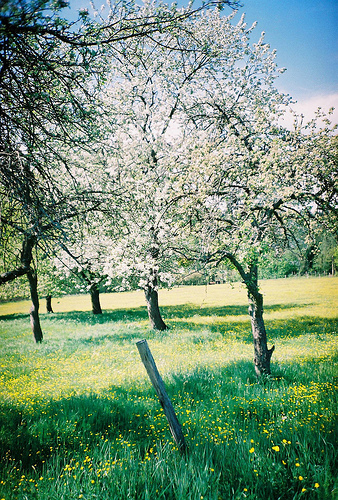 Abril
