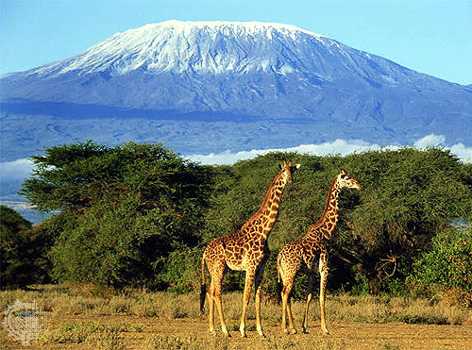 Las 5 principales atracciones en África