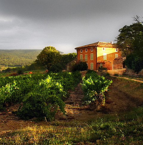 Aviñón escénico, Francia – Música entre los campos de lavanda de la Provenza