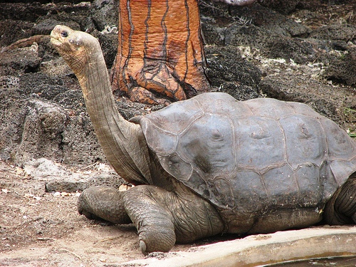 Paraíso terrenal en Galápagos – Ecuador