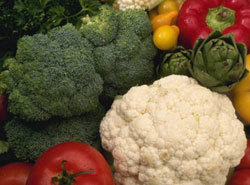 Los alimentos fermentados. Interés medicinal