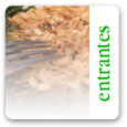 Sandwich de brotes