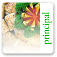 Kitchri (Arroz con menestras y verduras)